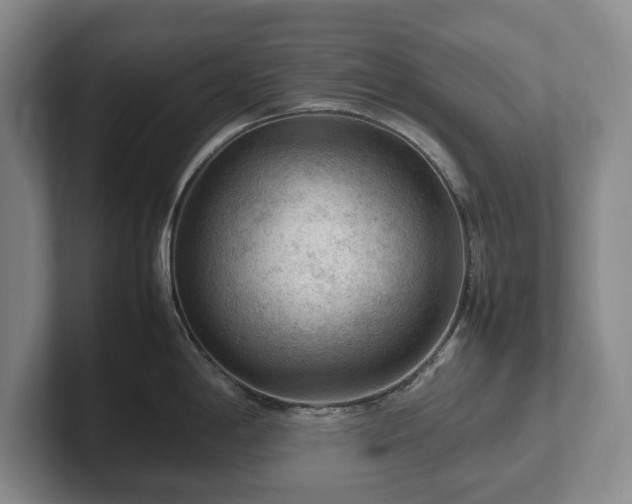 X0000102391198200808081221