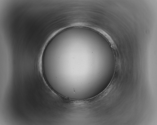 X0000102391199200808081221