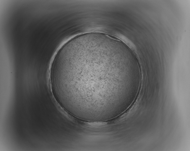 X0000102391200200808081221