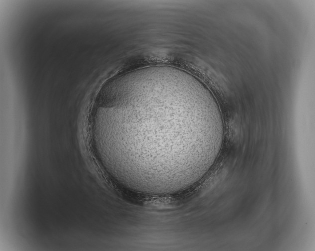 X0000102391201200808081220