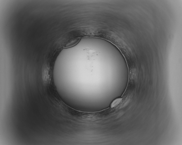 X0000102391202200808081220