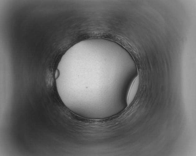 X0000102391204200808081220