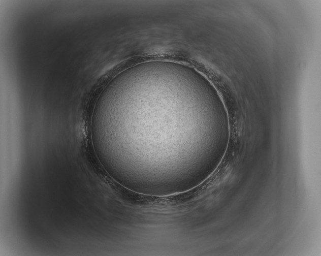 X0000102391206200808081220