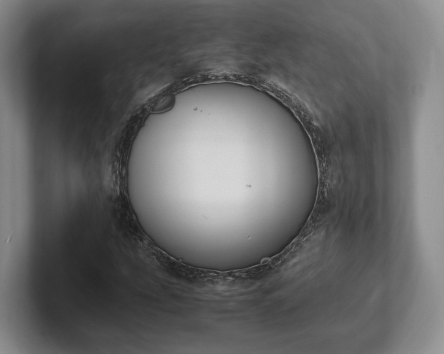 X0000102391207200808081220