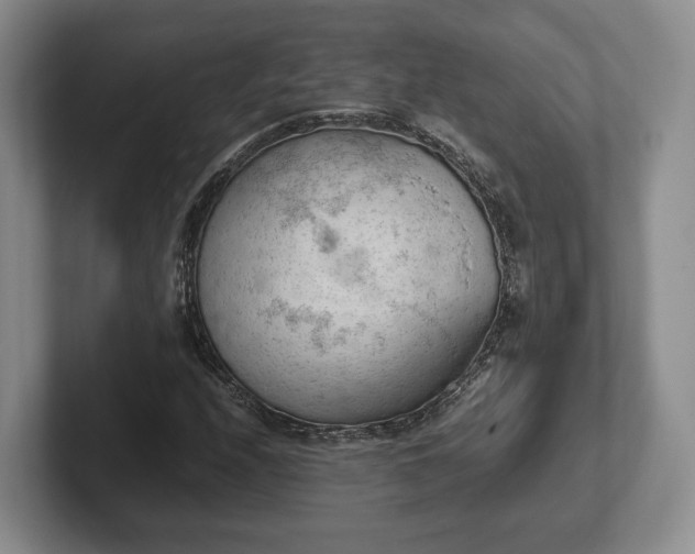 X0000102391208200808081220