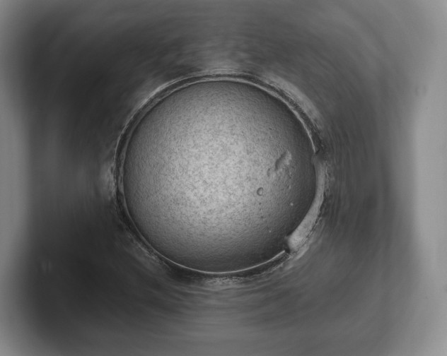 X0000102391212200808081220