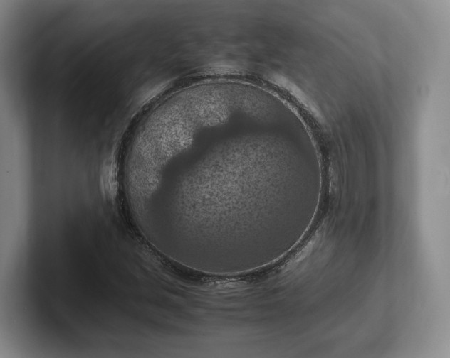 X0000102391213200808081220