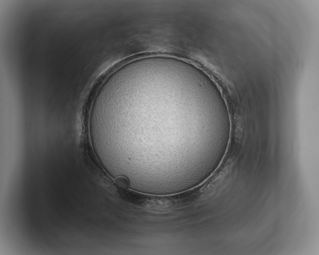 X0000102391215200808081220