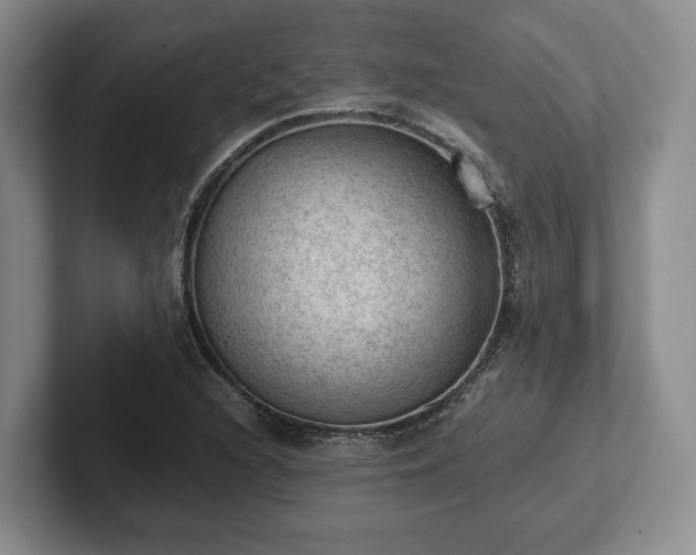 X0000102391216200808081220