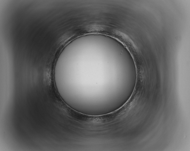 X0000102391217200808081220