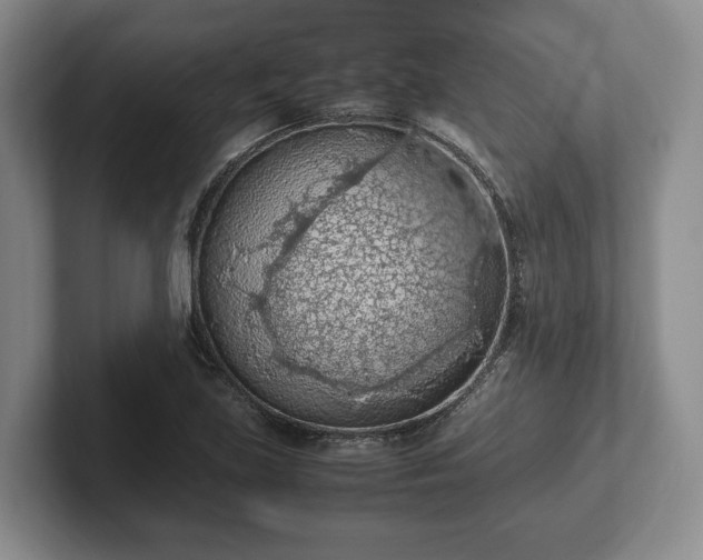 X0000102391219200808081220