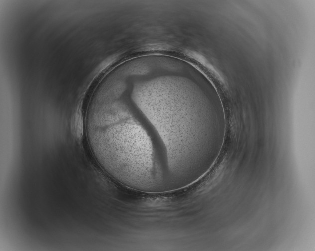 X0000102391221200808081220