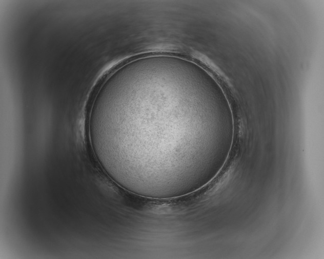 X0000102391222200808081220