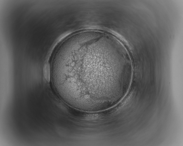 X0000102391223200808081220