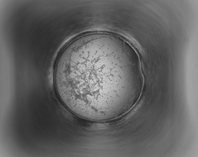 X0000102391224200808081220