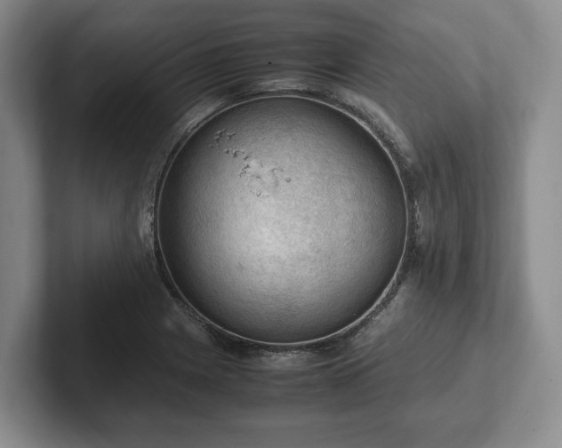 X0000102391225200808081220