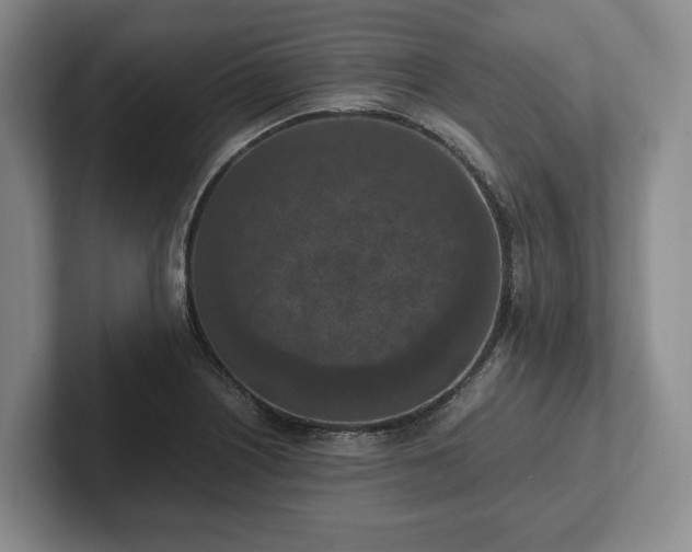 X0000102391226200808081220