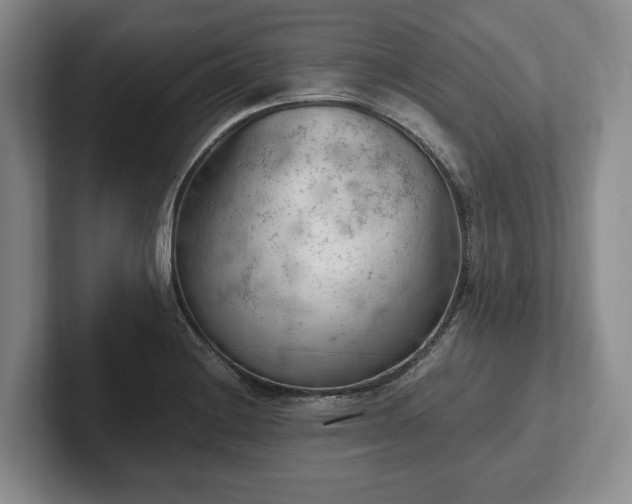 X0000102391228200808081220