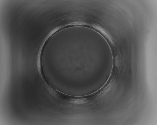 X0000102391229200808081220