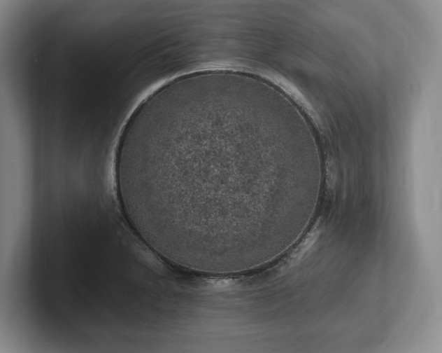 X0000102391230200808081220