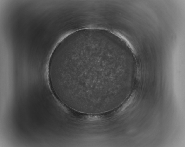 X0000102391231200808081220