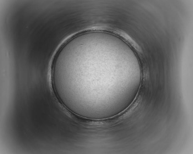 X0000102391232200808081220