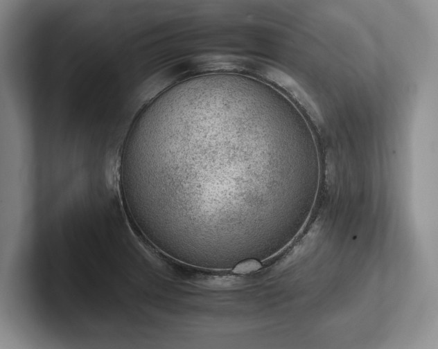 X0000102391233200808081220