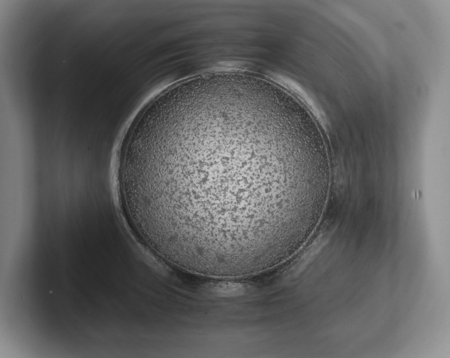 X0000102391235200808081220