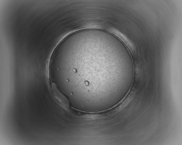 X0000102391236200808081220