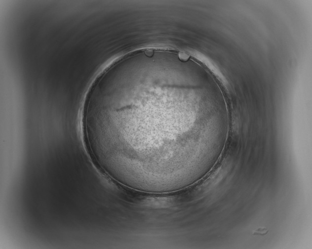 X0000102391237200808081221