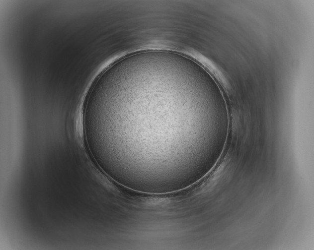 X0000102391238200808081221