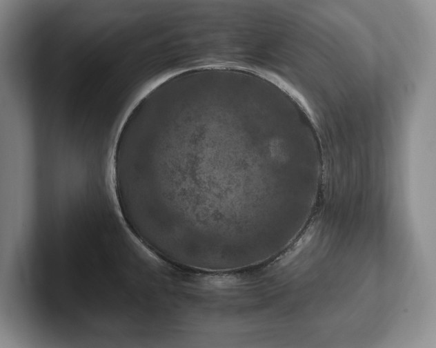 X0000102391239200808081221