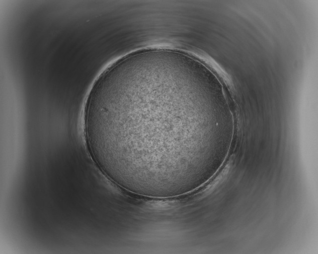 X0000102391240200808081221