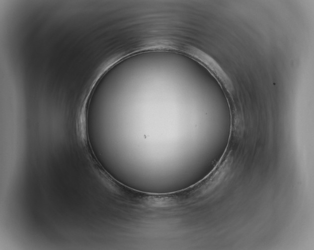 X0000102391242200808081221