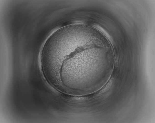 X0000102391243200808081221