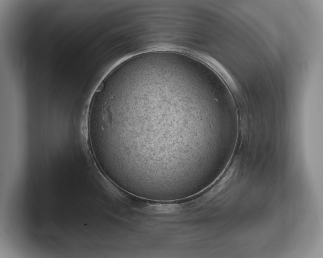 X0000102391244200808081221