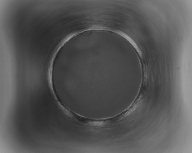 X0000102391245200808081221