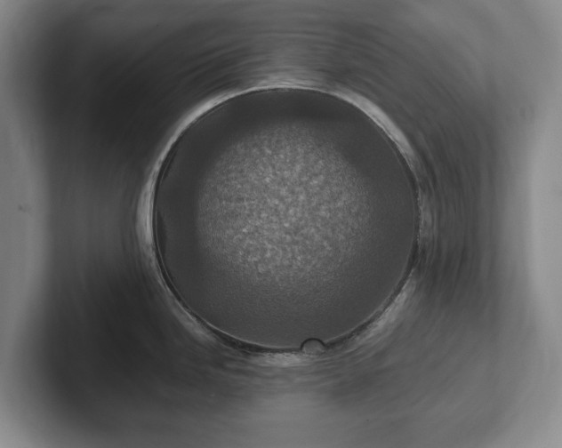 X0000102391246200808081221