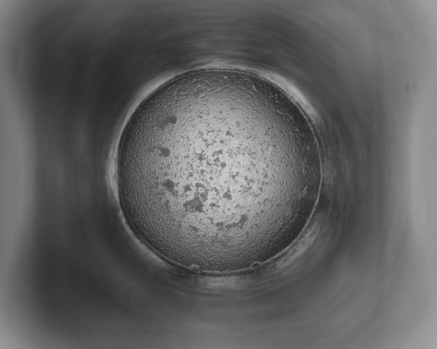 X0000102391247200808081221