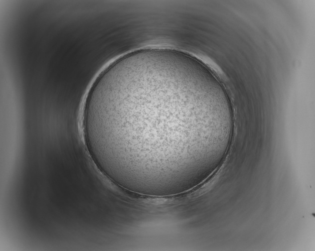 X0000102391248200808081221