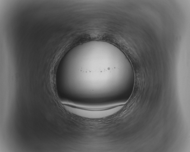 X0000102391249200808081220