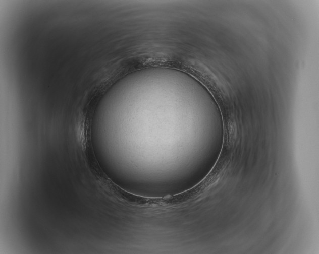 X0000102391250200808081220