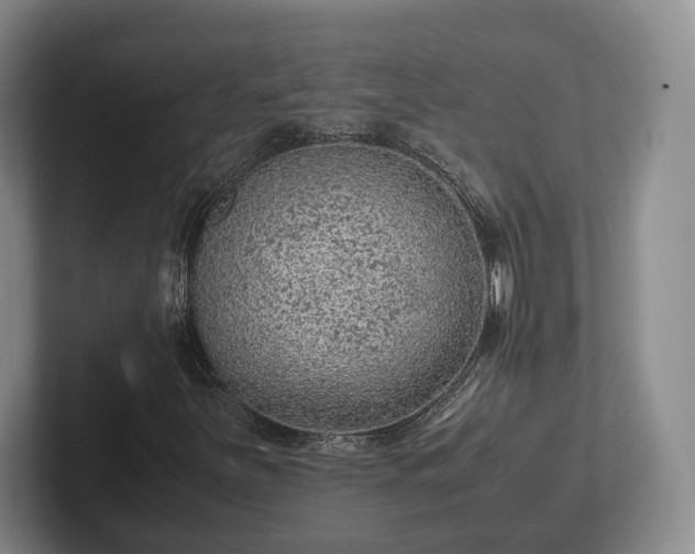 X0000102391251200808081220