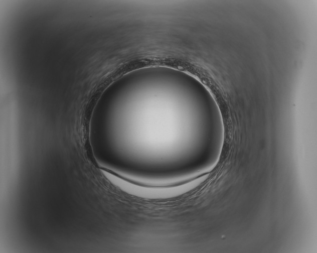 X0000102391253200808081220