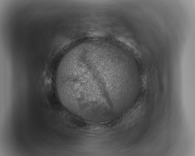 X0000102391254200808081220