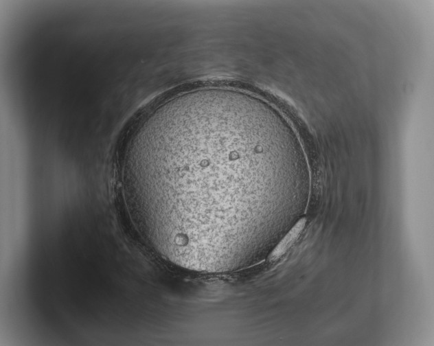 X0000102391255200808081220