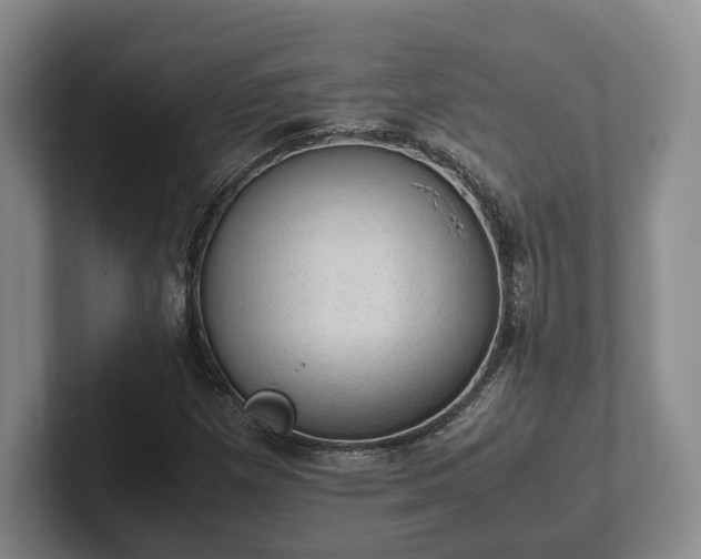 X0000102391257200808081220