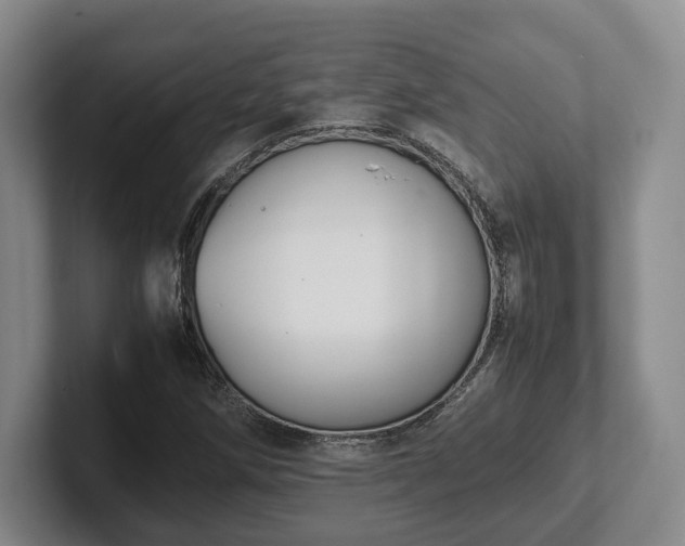 X0000102391258200808081220