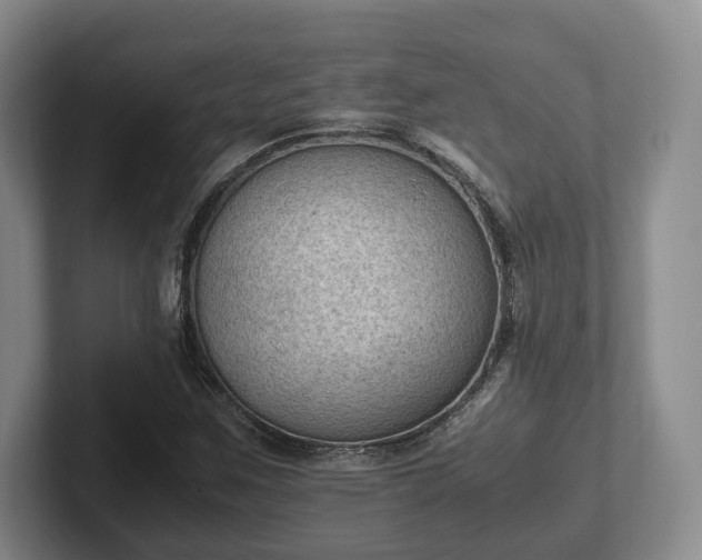 X0000102391259200808081220