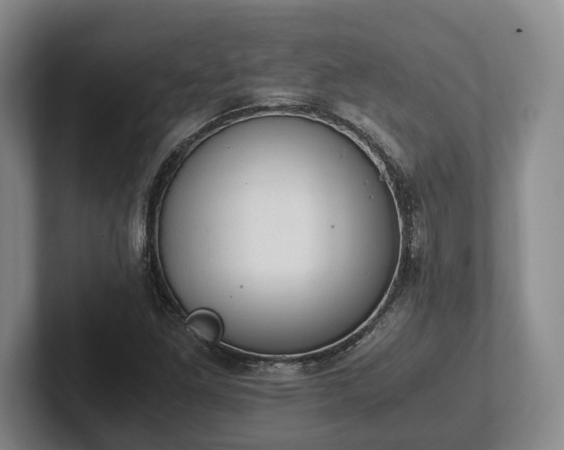 X0000102391261200808081220